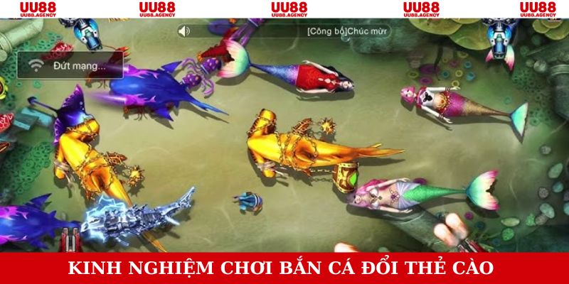 Bí quyết săn cá chuẩn xác từ các bậc thầy hàng đầu