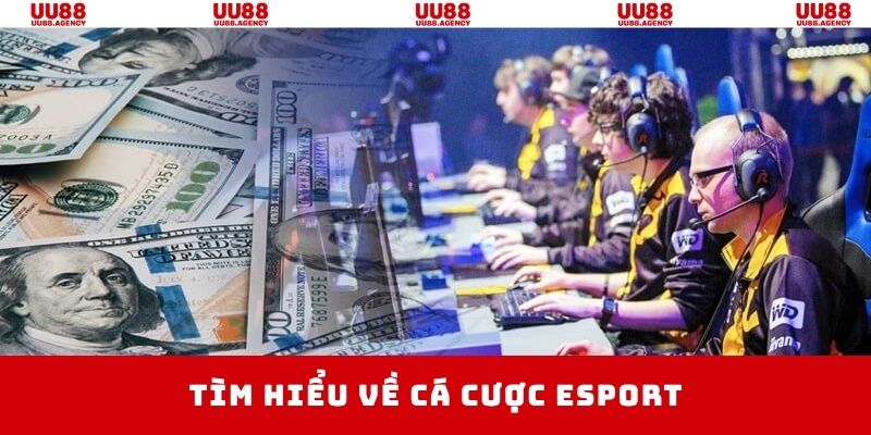 Tổng quan những thông tin cơ bản về cá cược Esport