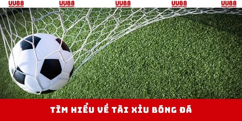 Đôi nét tìm hiểu chung về kèo tài xỉu bóng đá